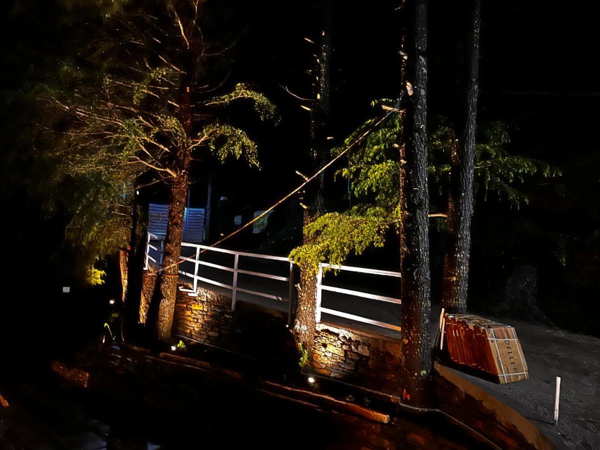 The Roots Homestay Алмора Экстерьер фото