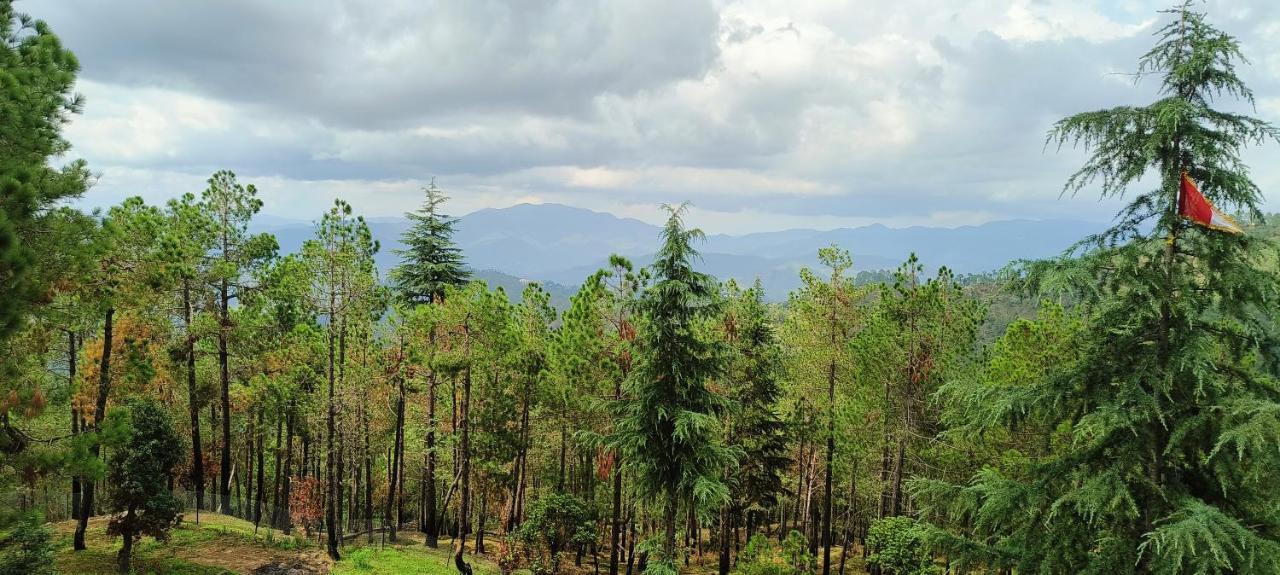 The Roots Homestay Алмора Экстерьер фото