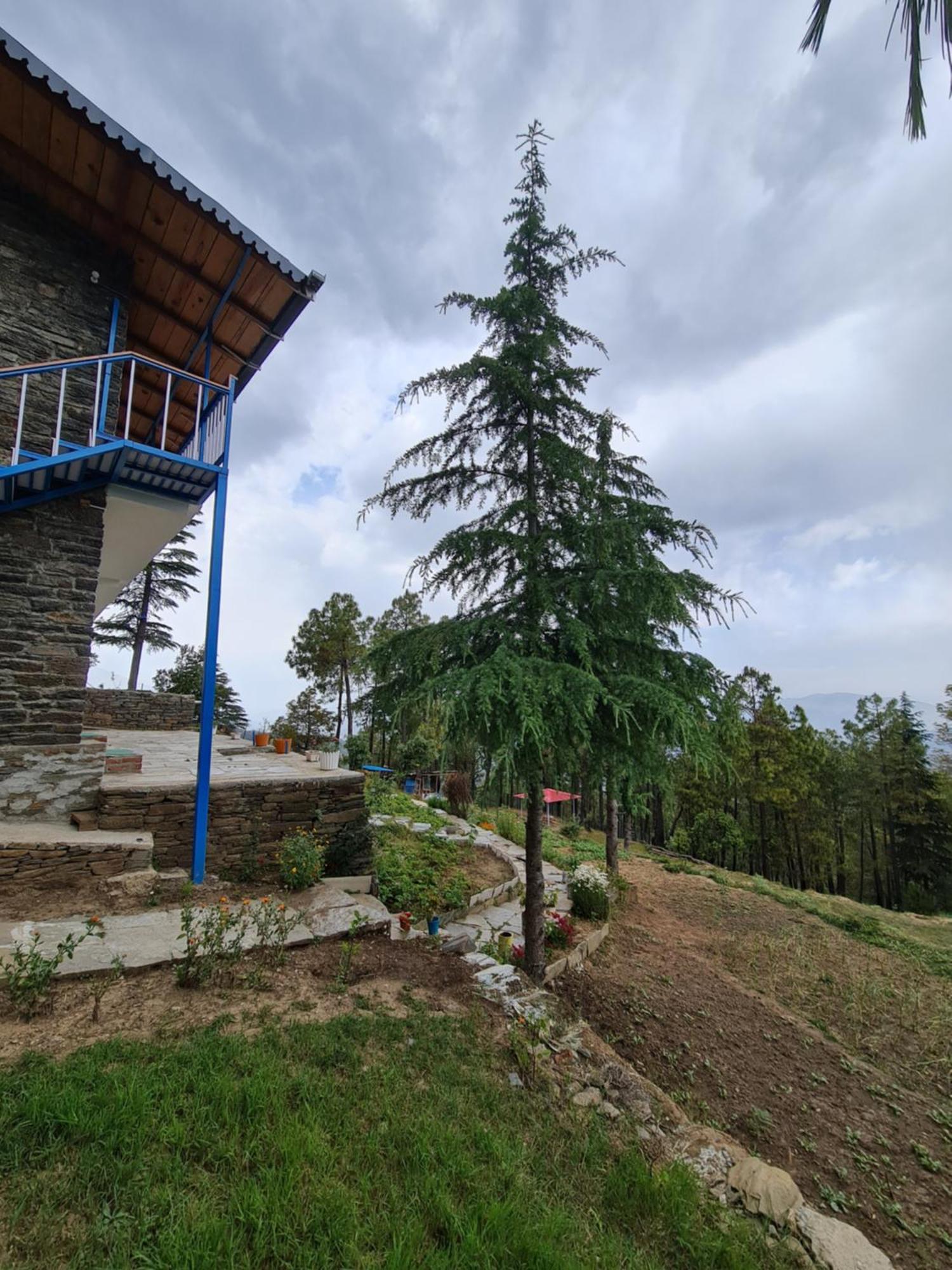The Roots Homestay Алмора Экстерьер фото